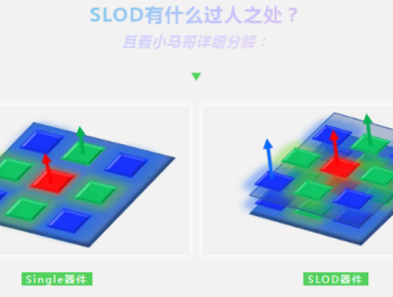 天马全新OLED屏幕器件结构SLOD技术发布！